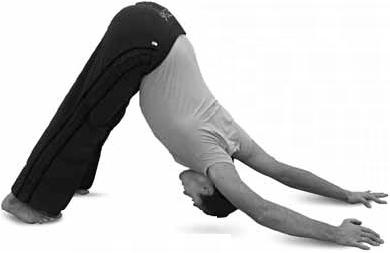 Иллюстрация к книге — Простая йога. Лучшие асаны [_72.jpg]