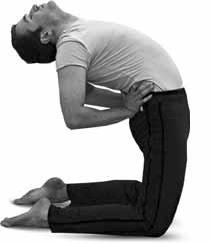 Иллюстрация к книге — Простая йога. Лучшие асаны [_91.jpg]