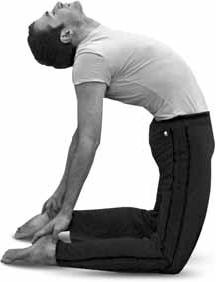 Иллюстрация к книге — Простая йога. Лучшие асаны [_92.jpg]