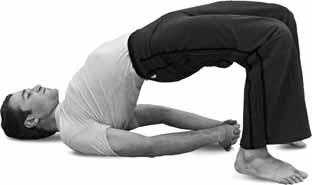 Иллюстрация к книге — Простая йога. Лучшие асаны [_97.jpg]