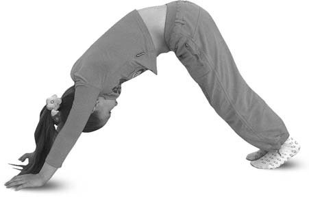 Иллюстрация к книге — Детская оздоровительная йога [i_034.jpg]