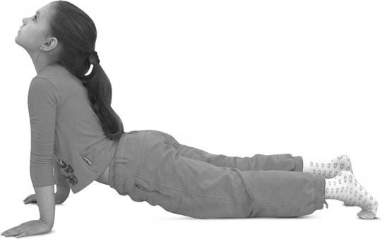 Иллюстрация к книге — Детская оздоровительная йога [i_095.jpg]