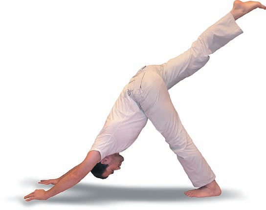 Иллюстрация к книге — Йога. Большая книга лучших асан [Autogen_eBook_id113.jpg]