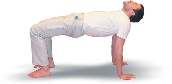 Иллюстрация к книге — Йога. Большая книга лучших асан [Autogen_eBook_id132.jpg]