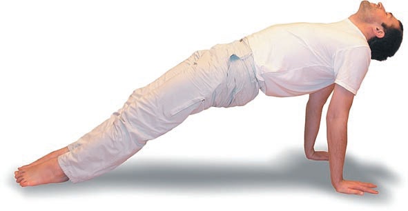 Иллюстрация к книге — Йога. Большая книга лучших асан [Autogen_eBook_id142.jpg]