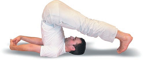 Иллюстрация к книге — Йога. Большая книга лучших асан [Autogen_eBook_id159.jpg]