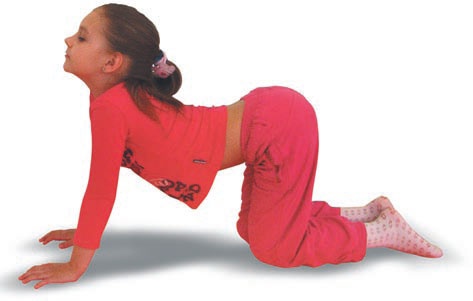 Иллюстрация к книге — Йога. Большая книга лучших асан [Autogen_eBook_id180.jpg]