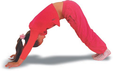 Иллюстрация к книге — Йога. Большая книга лучших асан [Autogen_eBook_id182.jpg]