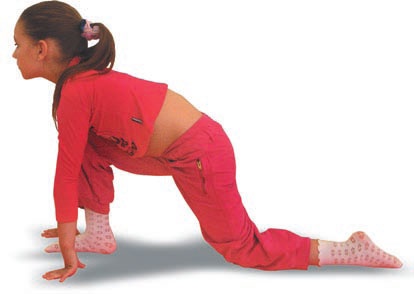 Иллюстрация к книге — Йога. Большая книга лучших асан [Autogen_eBook_id201.jpg]