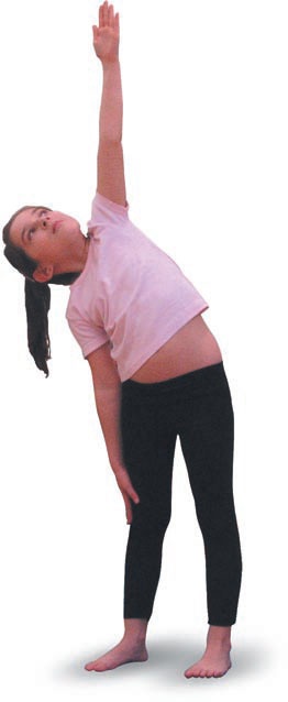 Иллюстрация к книге — Йога. Большая книга лучших асан [Autogen_eBook_id237.jpg]