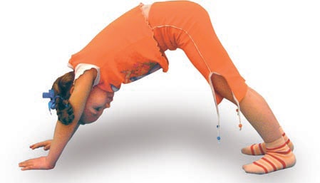 Иллюстрация к книге — Йога. Большая книга лучших асан [Autogen_eBook_id279.jpg]