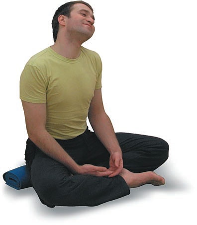 Иллюстрация к книге — Йога. Большая книга лучших асан [Autogen_eBook_id29.jpg]