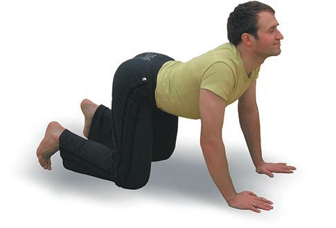 Иллюстрация к книге — Йога. Большая книга лучших асан [Autogen_eBook_id38.jpg]