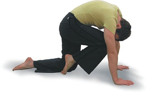 Иллюстрация к книге — Йога. Большая книга лучших асан [Autogen_eBook_id40.jpg]