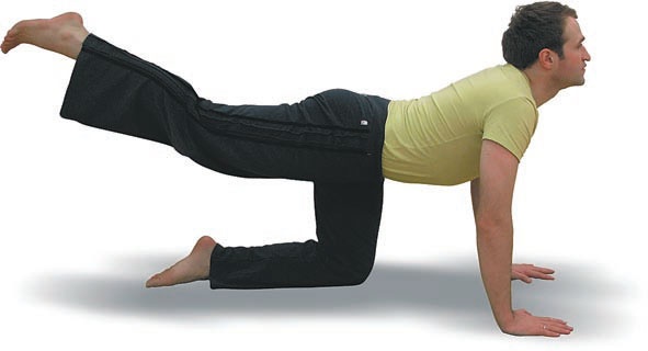 Иллюстрация к книге — Йога. Большая книга лучших асан [Autogen_eBook_id41.jpg]