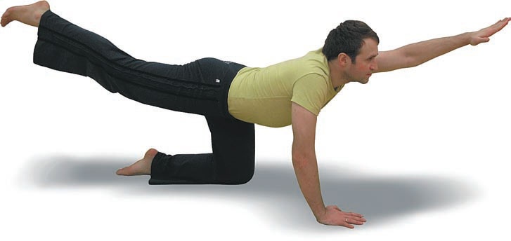 Иллюстрация к книге — Йога. Большая книга лучших асан [Autogen_eBook_id45.jpg]