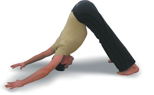 Иллюстрация к книге — Йога. Большая книга лучших асан [Autogen_eBook_id46.jpg]