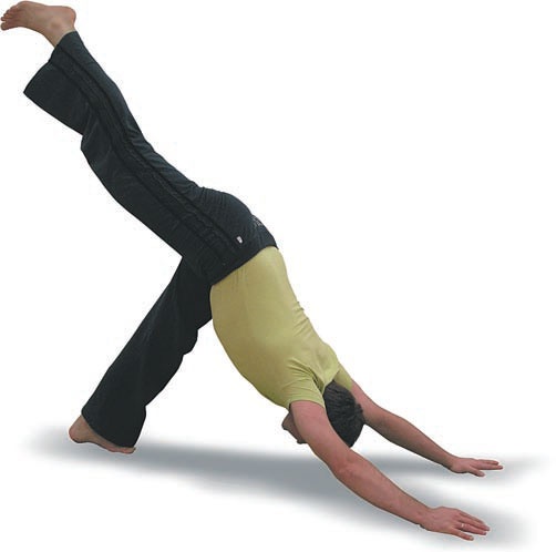 Иллюстрация к книге — Йога. Большая книга лучших асан [Autogen_eBook_id52.jpg]