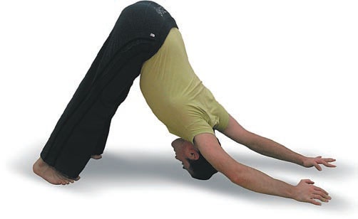 Иллюстрация к книге — Йога. Большая книга лучших асан [Autogen_eBook_id60.jpg]