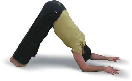 Иллюстрация к книге — Йога. Большая книга лучших асан [Autogen_eBook_id61.jpg]