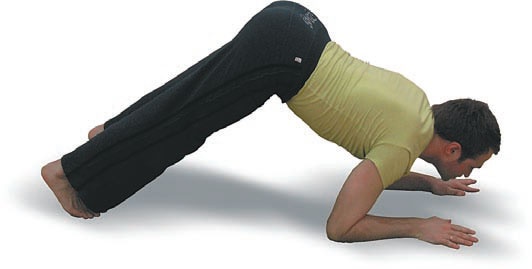 Иллюстрация к книге — Йога. Большая книга лучших асан [Autogen_eBook_id62.jpg]