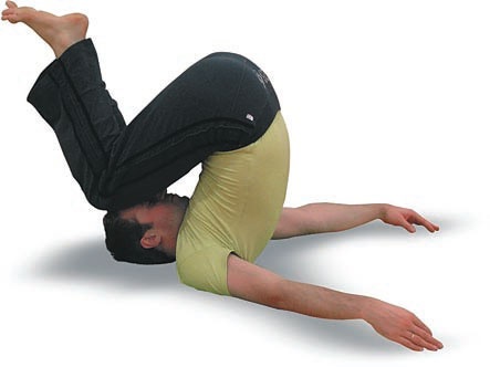 Иллюстрация к книге — Йога. Большая книга лучших асан [Autogen_eBook_id99.jpg]