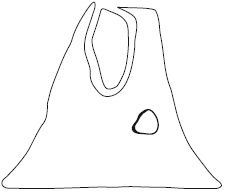 Иллюстрация к книге — Психология неудачника. Тренинг уверенности в себе [i_009.jpg]