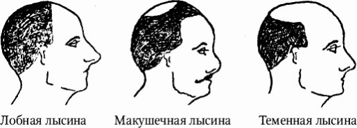 Иллюстрация к книге — Как распознать преступника [image2.jpg]