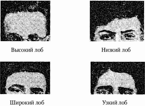 Иллюстрация к книге — Как распознать преступника [image4.jpg]