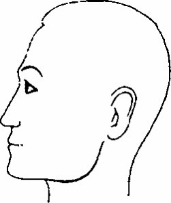 Иллюстрация к книге — Как распознать преступника [image8.jpg]