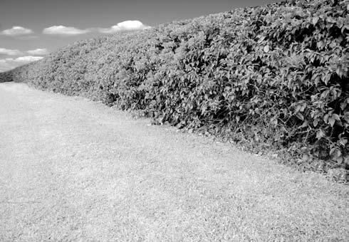 Иллюстрация к книге — Забор, ограда, калитка на дачном участке. Строим своими руками [i_091.jpg]