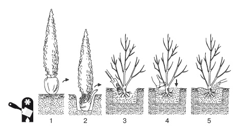 Иллюстрация к книге — Забор, ограда, калитка на дачном участке. Строим своими руками [i_098.jpg]