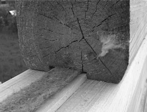 Иллюстрация к книге — Баня, сауна. Строим своими руками [i_031.jpg]