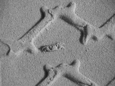 Иллюстрация к книге — Все о плитке. Укладка своими руками [i_071.jpg]