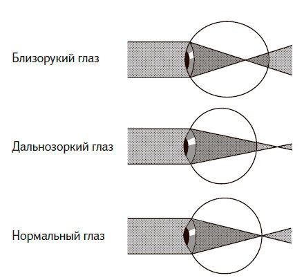Иллюстрация к книге — Вкус жизни [i_018.jpg]