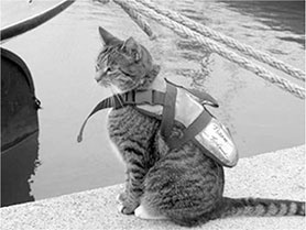 Иллюстрация к книге — Люди былой империи (сборник) [i_055.jpg]