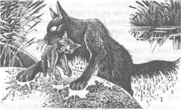 Иллюстрация к книге — Обещание Метеора. Западня [pic_10.jpg]