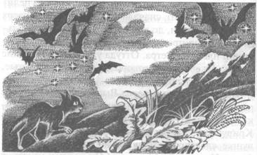 Иллюстрация к книге — Обещание Метеора. Западня [pic_16.jpg]