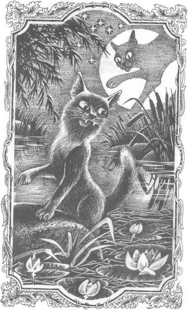 Иллюстрация к книге — Обещание Метеора. Западня [pic_2.jpg]