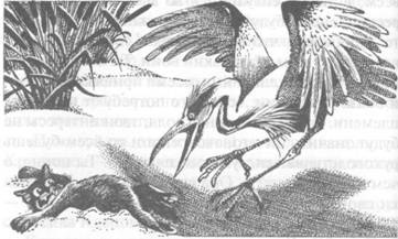 Иллюстрация к книге — Обещание Метеора. Западня [pic_24.jpg]