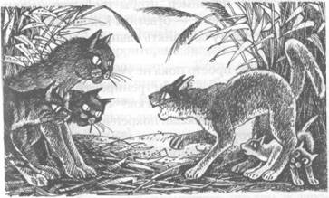 Иллюстрация к книге — Обещание Метеора. Западня [pic_26.jpg]