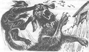 Иллюстрация к книге — Обещание Метеора. Западня [pic_28.jpg]