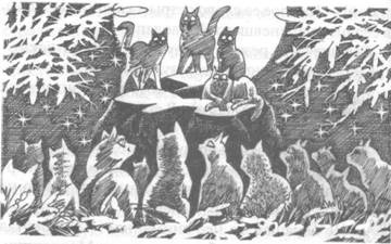 Иллюстрация к книге — Обещание Метеора. Западня [pic_30.jpg]