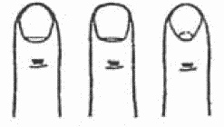 Иллюстрация к книге — Покажи мне свою сумочку – и я скажу, кто ты. 32 фокуса визуальной психодиагностики [i_013.jpg]