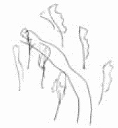 Иллюстрация к книге — Покажи мне свою сумочку – и я скажу, кто ты. 32 фокуса визуальной психодиагностики [i_095.jpg]