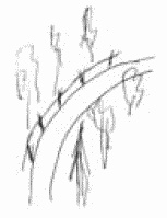 Иллюстрация к книге — Покажи мне свою сумочку – и я скажу, кто ты. 32 фокуса визуальной психодиагностики [i_096.jpg]