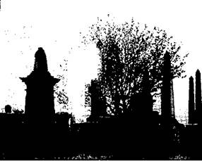 Иллюстрация к книге — Социальная психология: Интенсивный курс [pic_1.jpg]