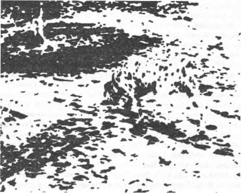 Иллюстрация к книге — Интуиция [i_006.jpg]