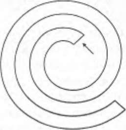 Иллюстрация к книге — Интуиция [i_007.jpg]