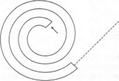 Иллюстрация к книге — Интуиция [i_010.jpg]